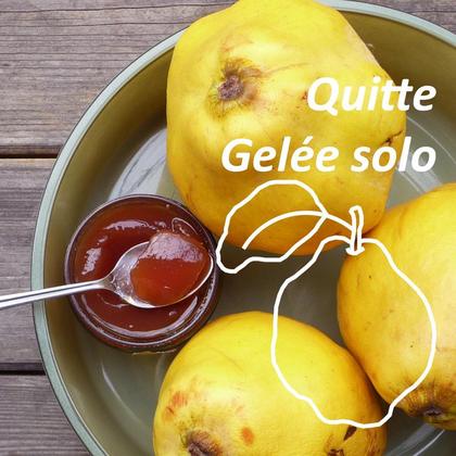 Quitte Gelée solo - Image 2