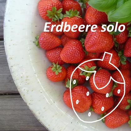 Erdbeere solo - Image 2