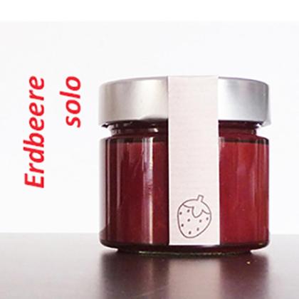Erdbeere solo