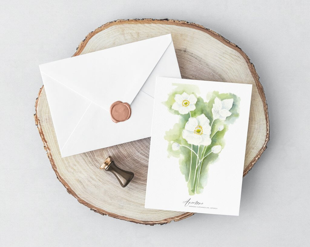 Zarte Grußkarte Anemone
