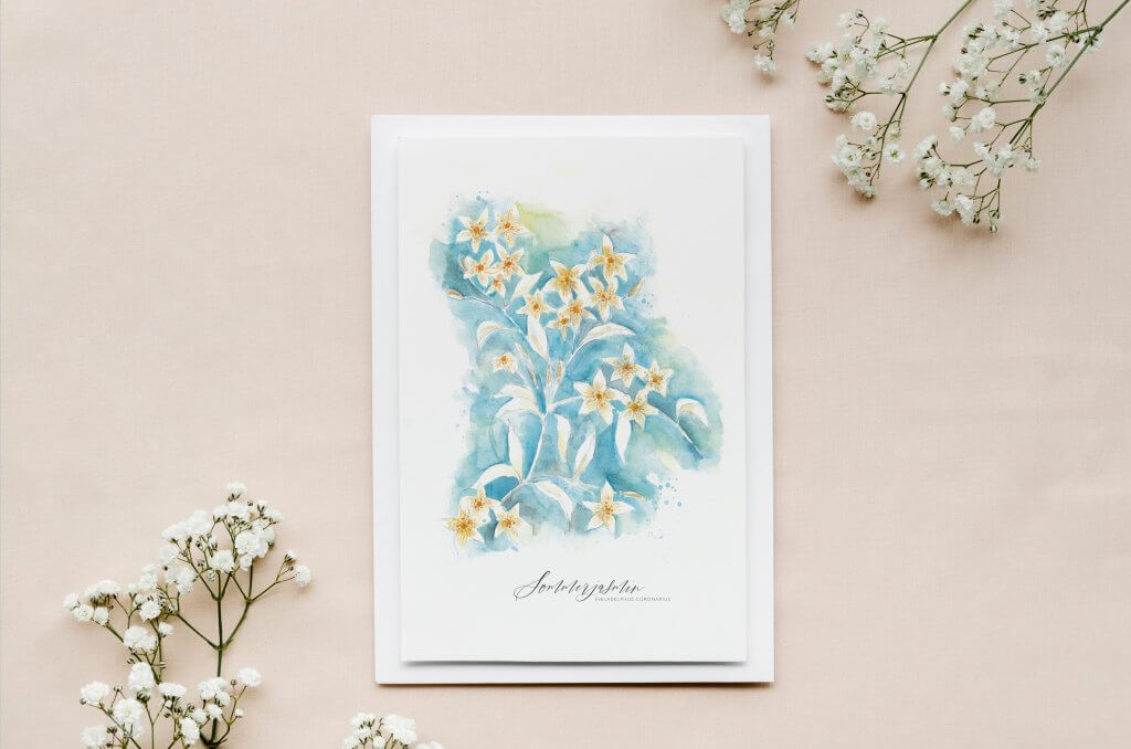 Grußkarte Sommerjasmin