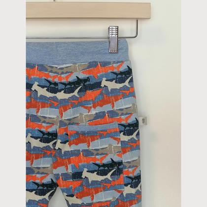 Bubenhose Sharks - Image 2