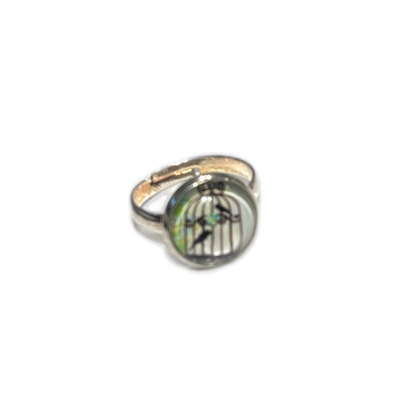 Ring Vogelkäfig . Grün und Blau