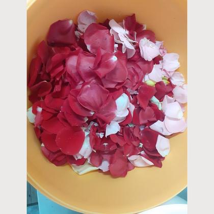 Rosenblütensirup - Image 2