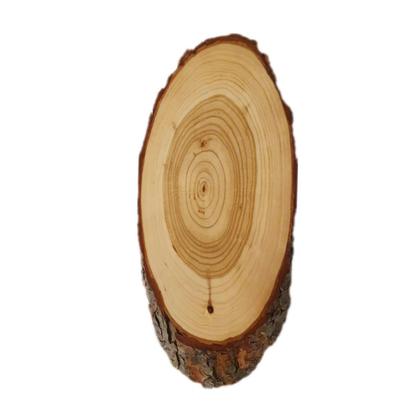 Trophäenschild Jagd - Image 2