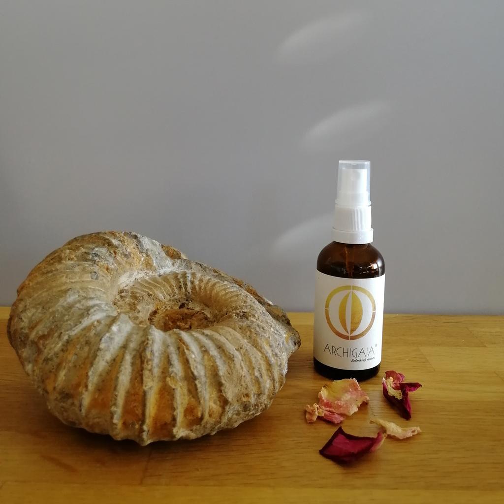 Aura- & Raumspray INSPIRATION - Image 2