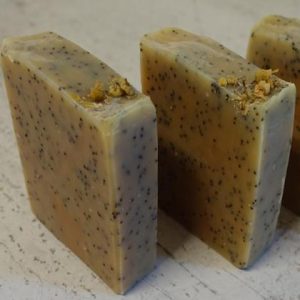 Gärtnerseife Erdferkel