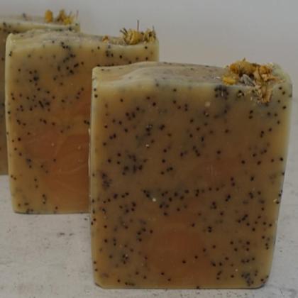 Gärtnerseife Erdferkel - Image 2