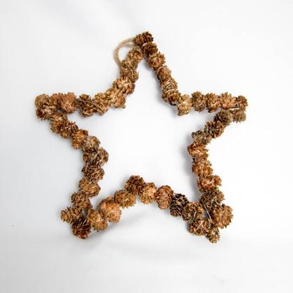 Weihnachtlicher Stern aus Lärchenzapfen