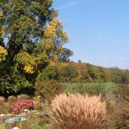 Miniperlen Sommergarten - Image 2