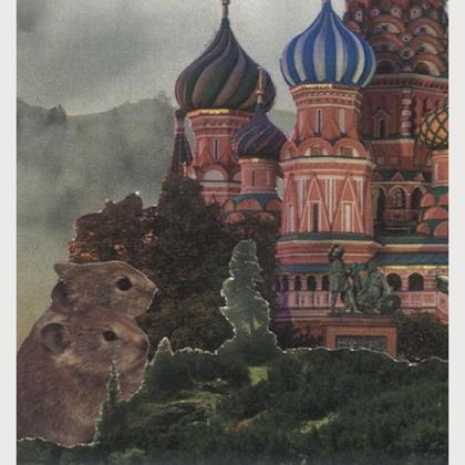 „jeder fängt klein an“ - Image 2