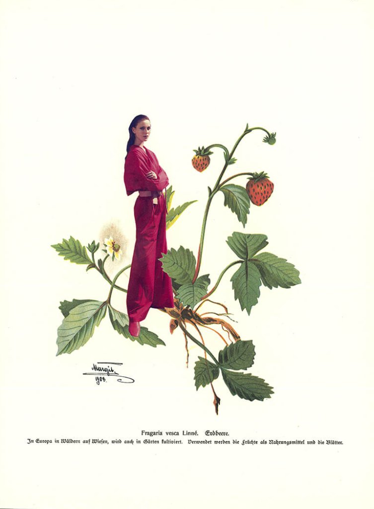Fragaria (Teil der Serie "Kräuter en Vogue")