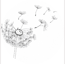 Pusteblumenkind Atelier