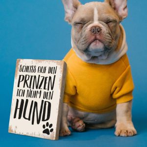 Holzschild "Prinz+Hund"