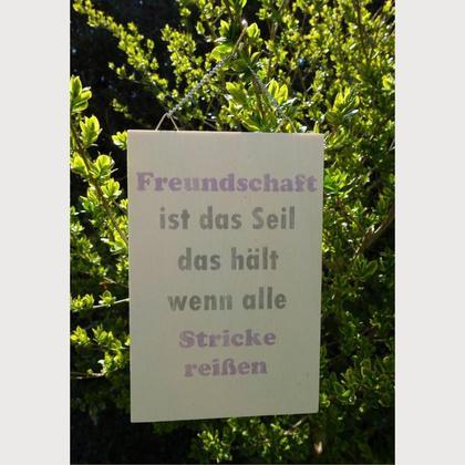 Spruch-Holzschild "Freundschaft lila"