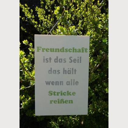 Spruch-Holzschild "Freundschaft grün"