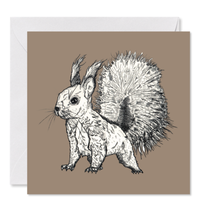 GRUSSKARTE *Hansi, das Eichhörnchen* , 14 x 14 cm