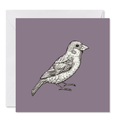 GRUSSKARTE lila *Herr Spatz* , 14 x 14 cm