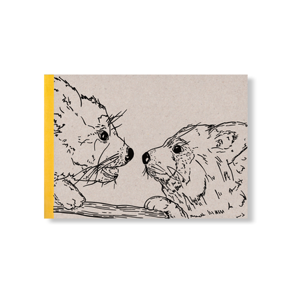 SKIZZENBUCH *Katzenbären*, DIN A5 quer, 144 Seiten