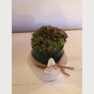 Übertopf Beton/Glas für Pflanze und Co. Grünes Glas IV