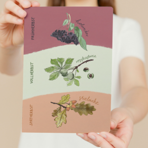 Notizheft phänologischer Herbst - DIN A5