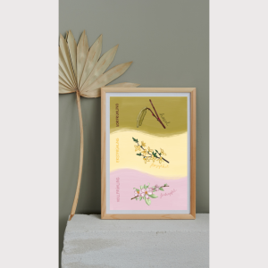 Poster Phänologischer Frühling - DIN A3