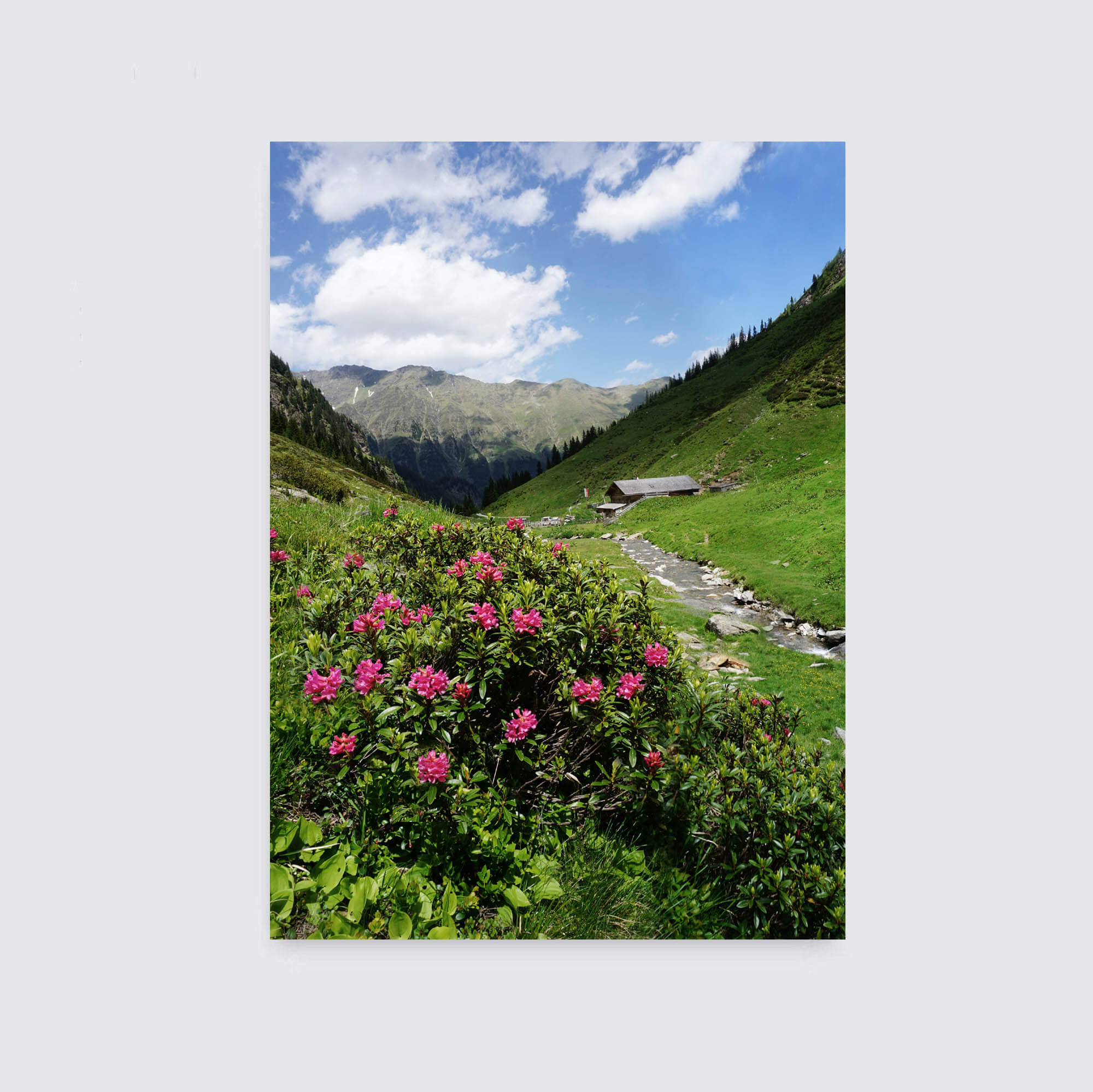 Postkarten -Set 'Berge' 2 (12 x 2 Stück) - Image 9