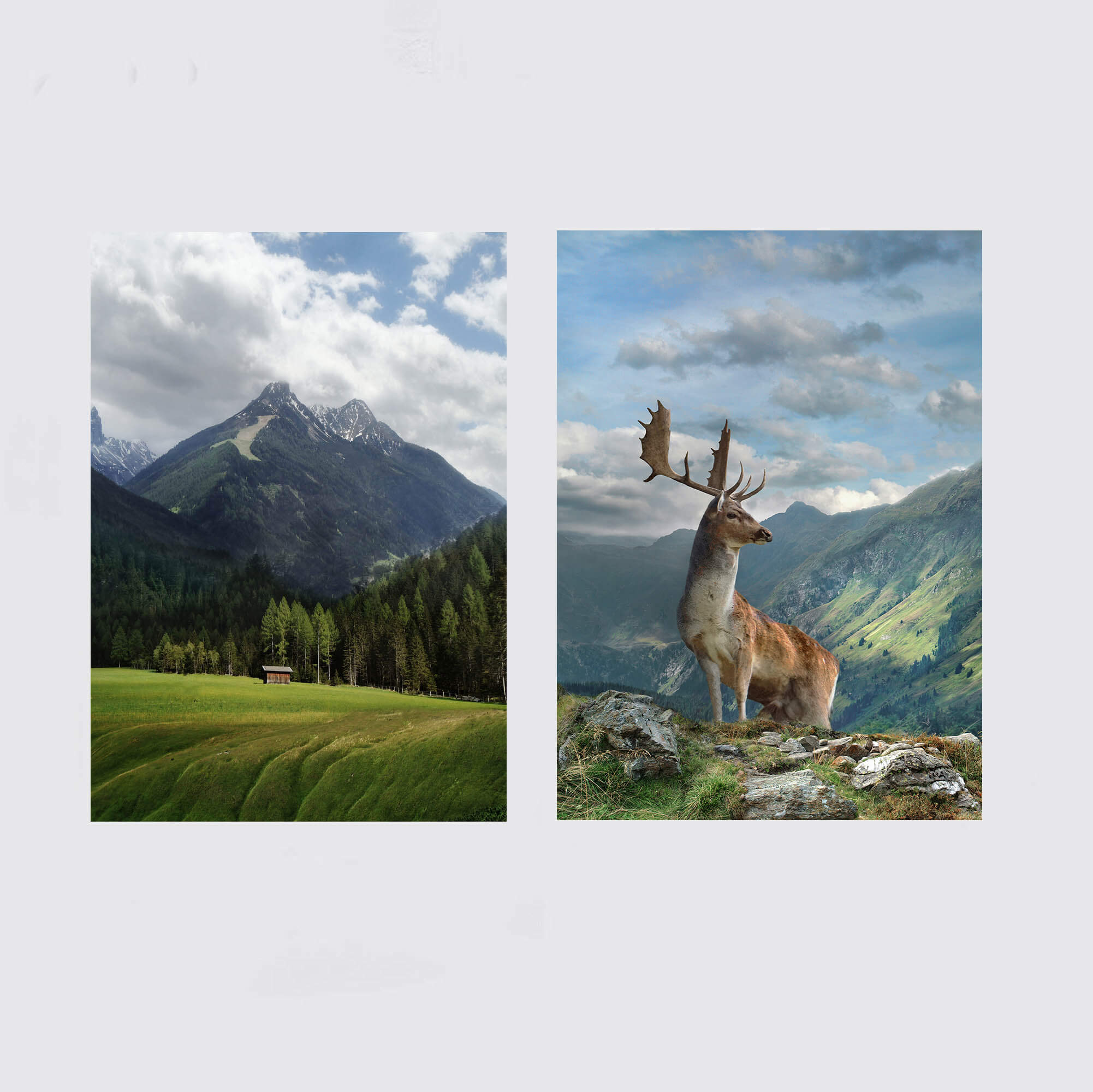 Postkarten -Set 'Berge' 2 (12 x 2 Stück) - Image 3