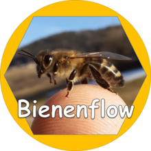 Bienenflow