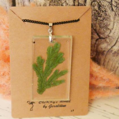 Kette Farn länglich - Image 2