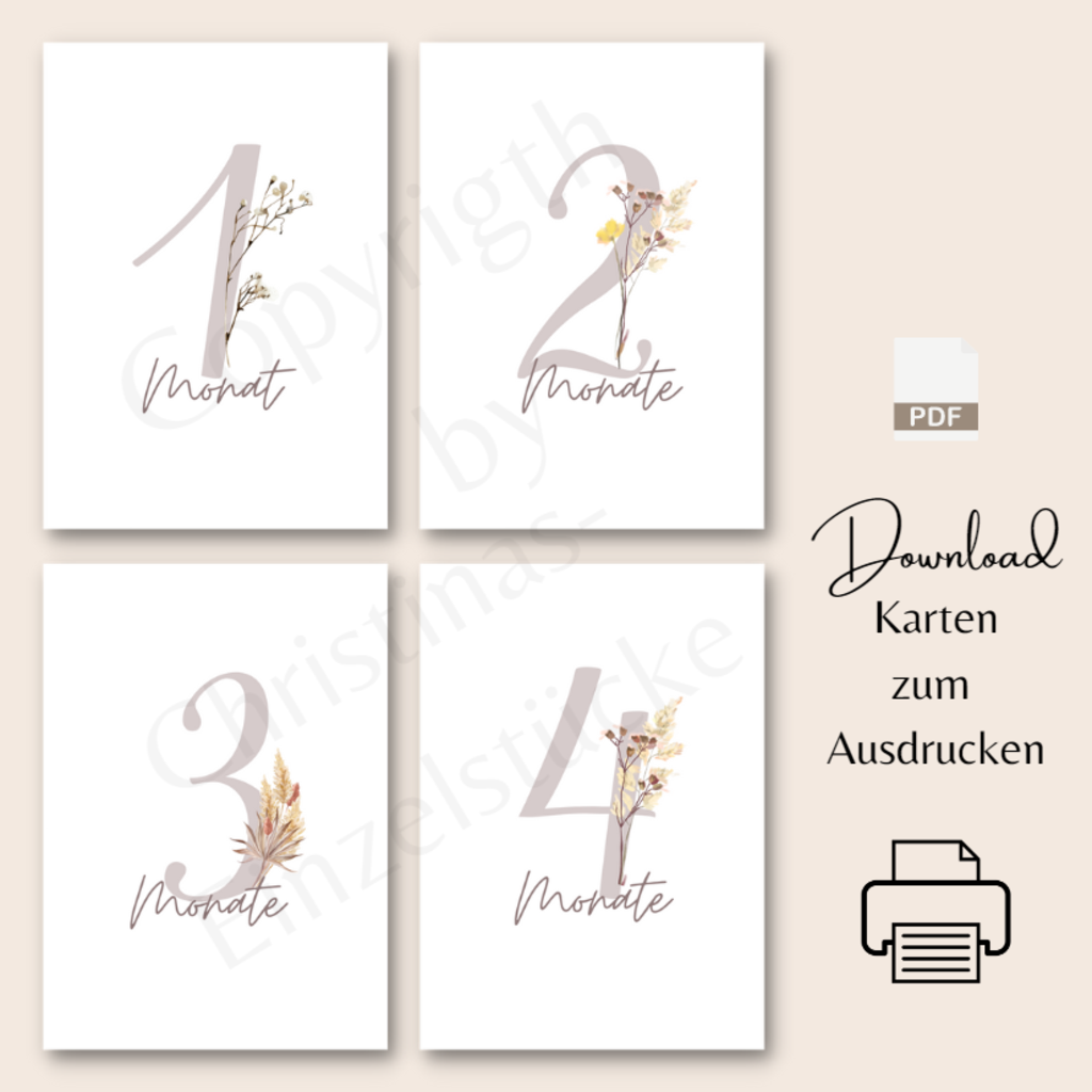 Baby-Monatskarten | Geburt Meilensteinkarten A6 | PDF | digital oder als Druck - Image 2