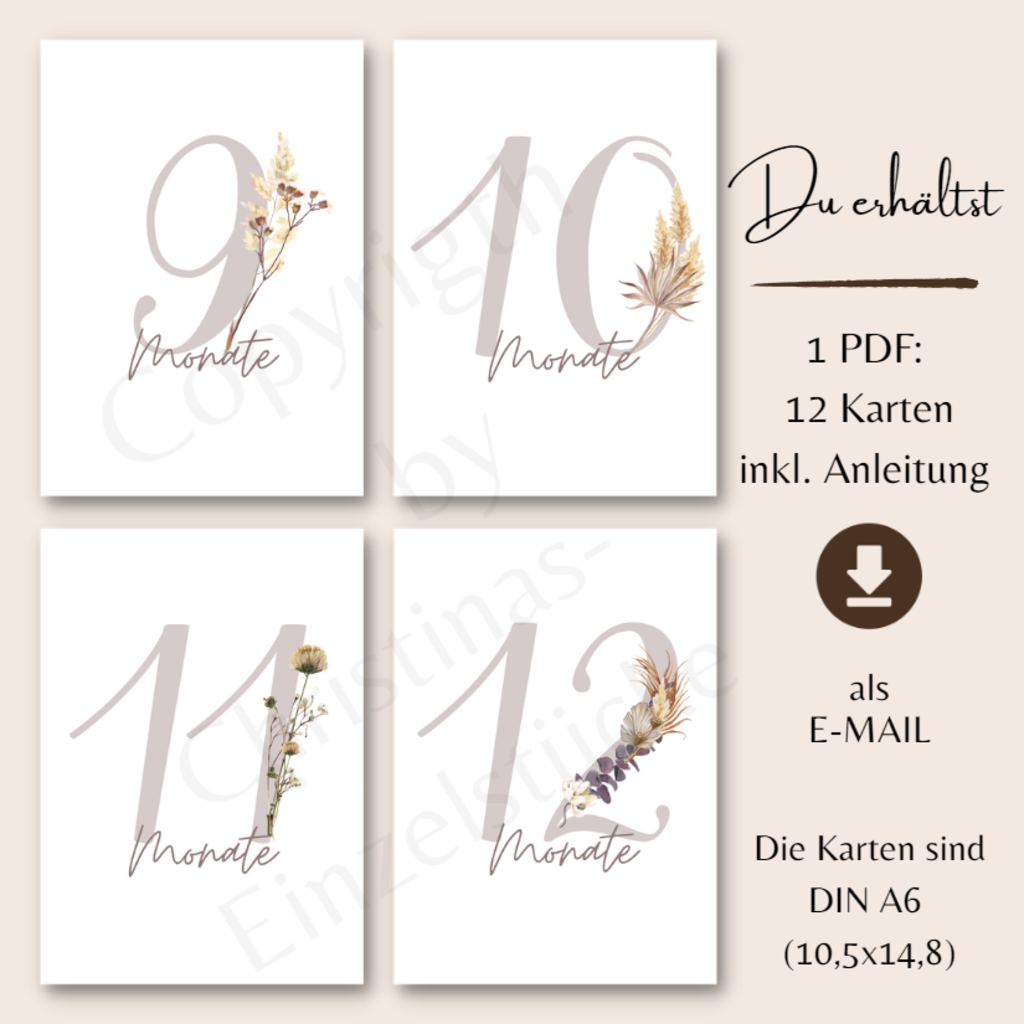 Baby-Monatskarten | Geburt Meilensteinkarten A6 | PDF | digital oder als Druck - Image 4