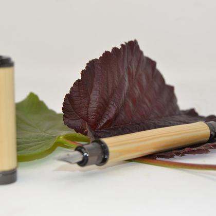Holz Füller Füllfeder Füllfederhalter Lärche Magnetverschluss handmade