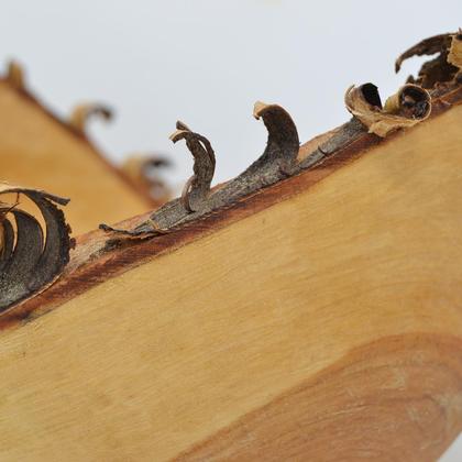Rustikale Holzschale Holzschüssel Wildkirsche ∅25x22 cm Obstschale Dekoschüssel